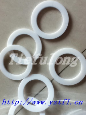 PTFE gasket