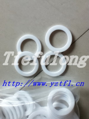 PTFE gasket